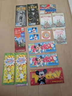 東京ディズニーリゾート　today チケットファイル　チケット　ミッキー　ミニー