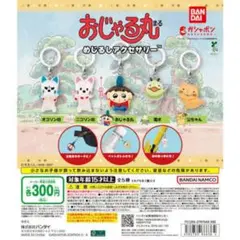 も*様 おじゃる丸 めじるしアクセサリーコンプリートセット