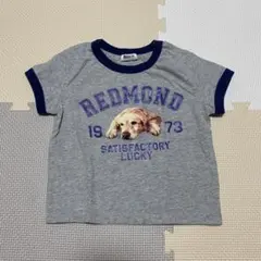 【美品】BREEZE 半袖Tシャツ 90cm 犬プリントのサムネイル