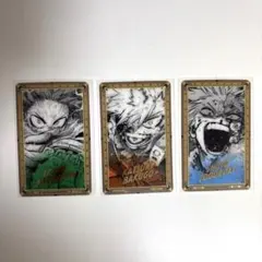 僕のヒーローアカデミア 原画展 クリアカード 爆豪勝己 緑谷出久 轟焦凍