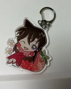 らんま1/2 ヴィレッジヴァンガード アクリルキーホルダー 右京 - メルカリ