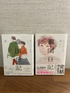 美品＊達国日記 10巻11巻　2冊セット　ヤマシタトモコ