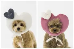 スリーコインズ　ペット　バレンタイン　ハート　顔ハメ　2個セット