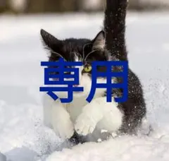 NAOKI 様専用