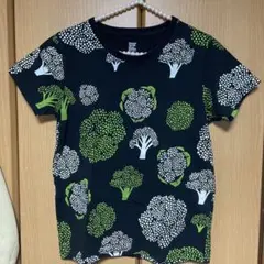 Item thumbnail for item e8d14911-f515-47b9-8547-20e02fa3fdfc