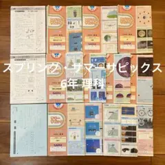 2026年最新】デイリーサピックスの人気アイテム - メルカリ