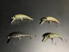 ミディアムクラピー 6個 オオツカ アカサカ トラウトアイランド