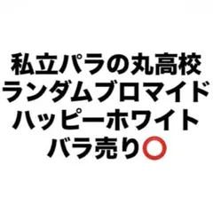 私立パラの丸高校 パラ高 ランダムブロマイド ローソンプリント