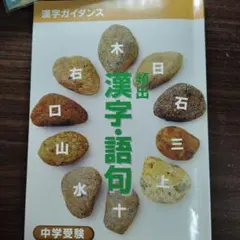 Item thumbnail for item 2c1215db-f201-40a8-b0e1-24eedf027a95