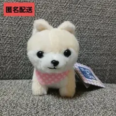 2026年最新】豆しば三兄弟BIGぬいぐるみ さすけの人気アイテム - メルカリ