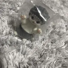 ゴジにゃ。バーニングゴジにゃ。