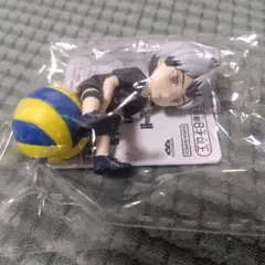ハイキュープチっとのりマスvol.5