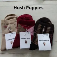 Hush Puppies 【新品】ソックス 3足セット 22~24cm