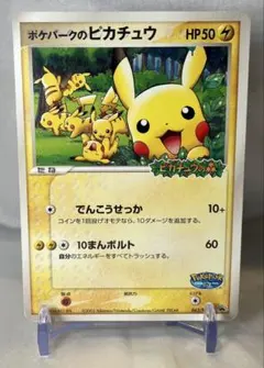 ポケパークのピカチュウ PROMO PCG-Pプロモカード 043/PCG-P