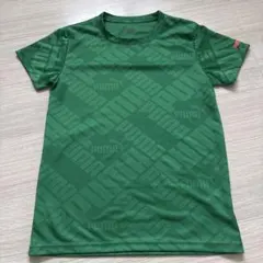 プーマ　新品未使用　グリーンドライTシャツ