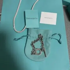 ティファニー TIFFANY 1837 カデナロック 南京錠 ネックレス SV - メルカリ
