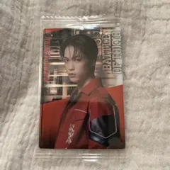 BOT ウェハース 藤原樹 フォトカード