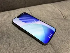 iPhone15Pro　本体　SIMフリー　付属品全てあり