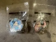 ディズニーシー 25周年 アブーズバザール ピンバッジ ミッキー　ミニー①