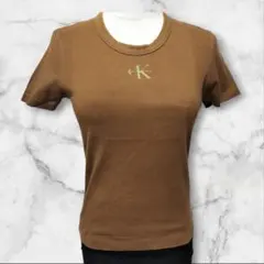 【希少】カルバンクライン　ブラウン　半袖　Tシャツ　ロゴ入り　コットンのサムネイル