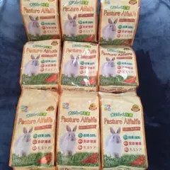 Item thumbnail for item f0a4b9e8-6203-479b-9b16-2fdda22f2138