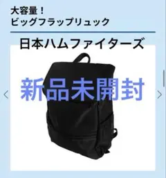 北海道日本ハムファイターズ FAV ビッグフラップリュック 非売品 新品未開封