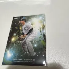 ソト 千葉ロッテマリーンズ CROSS FOREST BBM 2026 2nd