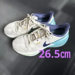 Nike ランニングシューズ ホワイト/ブルー