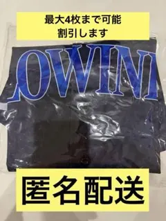 福井ブローウィンズ開幕戦 入場特典 ベースボールシャ未使用