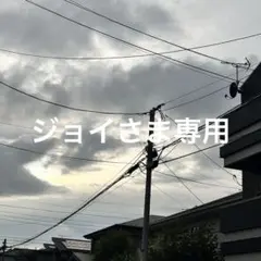 ジョイさま専用