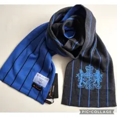 Item thumbnail for item af3a4f7a-3f3e-4113-ace1-fb1a07112545