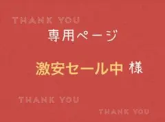 激安セール中様専用ページです。