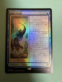 MTG 嵐追いの才能 2枚セット日本語版 - メルカリ