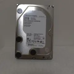 Western Digital Ultrastar DC H221 2TB
