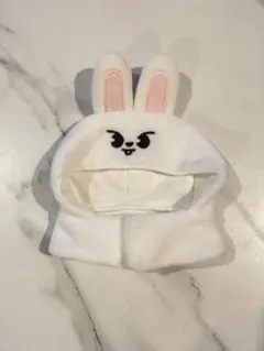 straykids leebit ペンライトカバー ver.2 - メルカリ