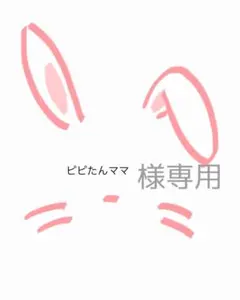 ピピたんママ様、専用ページです☆