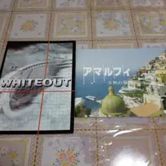 映画 アマルフィ & ホワイトアウト パンフレット 2冊セット 織田裕二