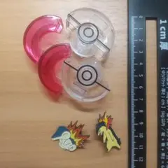 ヒノアラシ　バクフーン　ポケットモンスター　モンスターボール　ポケモン　A3