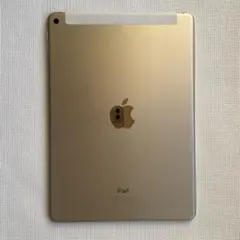 美品】iPad Air2 32GB完動品【充電器・ケーブル・外箱】付き ドコモ