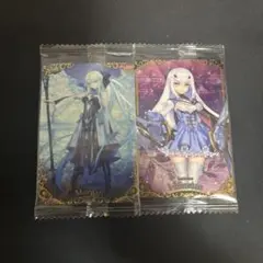 FGO Fate ウエハース カード モルガン SR バーサーカー