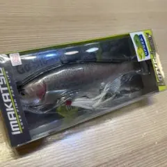 レイジースイマー6 ２個セット kougasyou_lazyswimmer-001