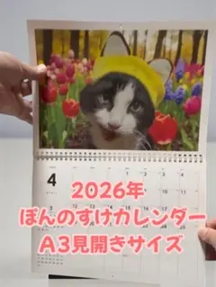 J.Ｉ様専用 2026年ぽんのすけカレンダーA3見開きサイズ×2部