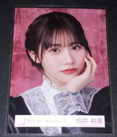 櫻坂46 5th Anniversary ドレス 生写真 向井純葉 - メルカリ