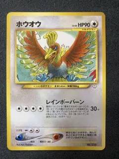 スイクン　エンテイ　ライコウ　プレミアムファイル3 （★neo・★VS・★we… スイクン エンテイ ライコウ プレミアムファイル3 （☆neo・☆VS
