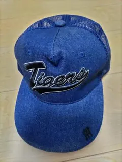 Item thumbnail for item 05cc27f9-3fe8-4735-b6bf-39f22c3fc844