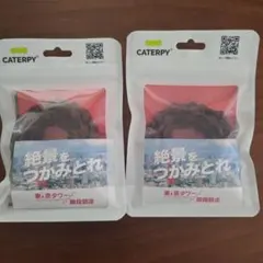 Item thumbnail for item 9b2f203a-be00-477c-86a1-cec2b7799e10