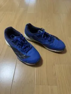 asics レーザービー