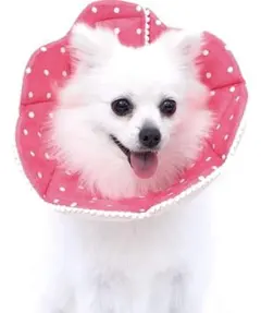 柔らかい エリザベスカラー 猫用 小型犬用 手術後傷口保護首輪