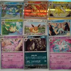イーブイ　ブイズ　テラスタルフェス　まとめ売り