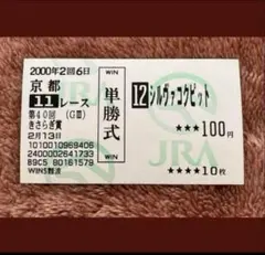 期限切れ単勝馬券】 テレビ東京杯青葉賞 2005 ダンツキッチョウ - メルカリ